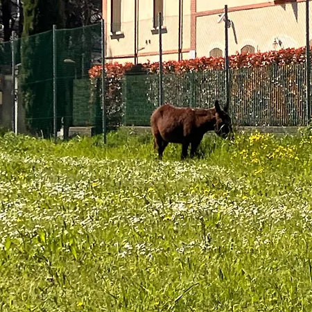 Rossena Tranquillo Appartamento, Con Giardino, Vicino Al Centro Ed All'ospedale Santa Maria Nuova Smn Reggio Emilia
