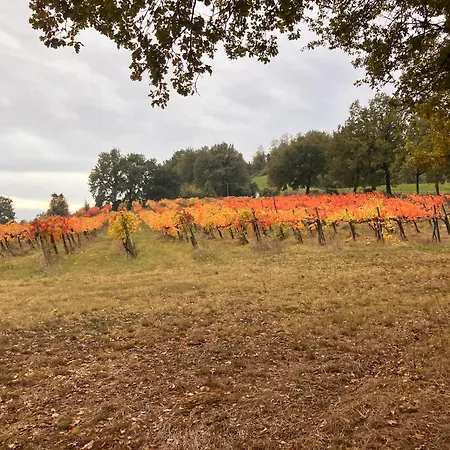 Rossena Tranquillo Appartamento, Con Giardino, Vicino Al Centro Ed All'ospedale Santa Maria Nuova Smn