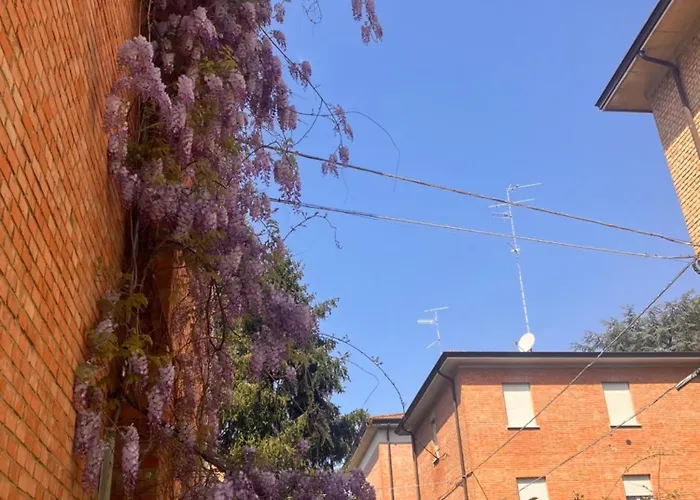 Rossena Tranquillo Appartamento, Con Giardino, Vicino Al Centro Ed All'ospedale Santa Maria Nuova Smn Lejlighed *