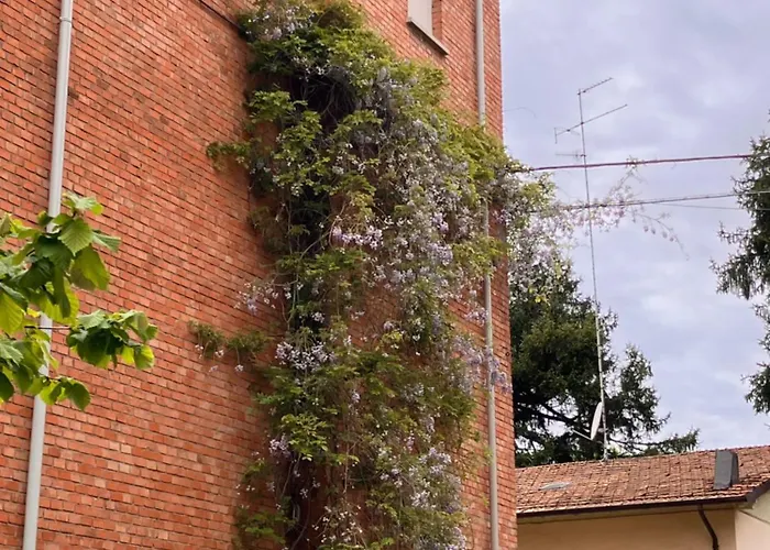 Rossena Tranquillo Appartamento, Con Giardino, Vicino Al Centro Ed All'ospedale Santa Maria Nuova Smn Reggio Emilia