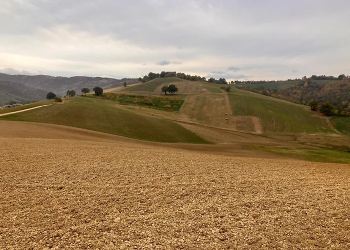 Rossena Tranquillo Appartamento, Con Giardino, Vicino Al Centro Ed All'ospedale Santa Maria Nuova Smn * Reggio nell'Emilia