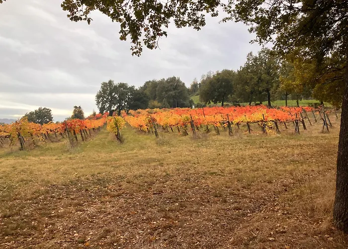 Rossena Tranquillo Appartamento, Con Giardino, Vicino Al Centro Ed All'ospedale Santa Maria Nuova Smn